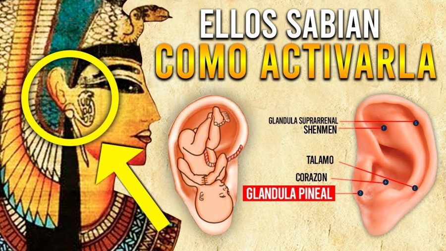 Descubre-Nuevos-Sonidos-La-Musica-que-Conecta-a-la-Humanidad | Slow Radio