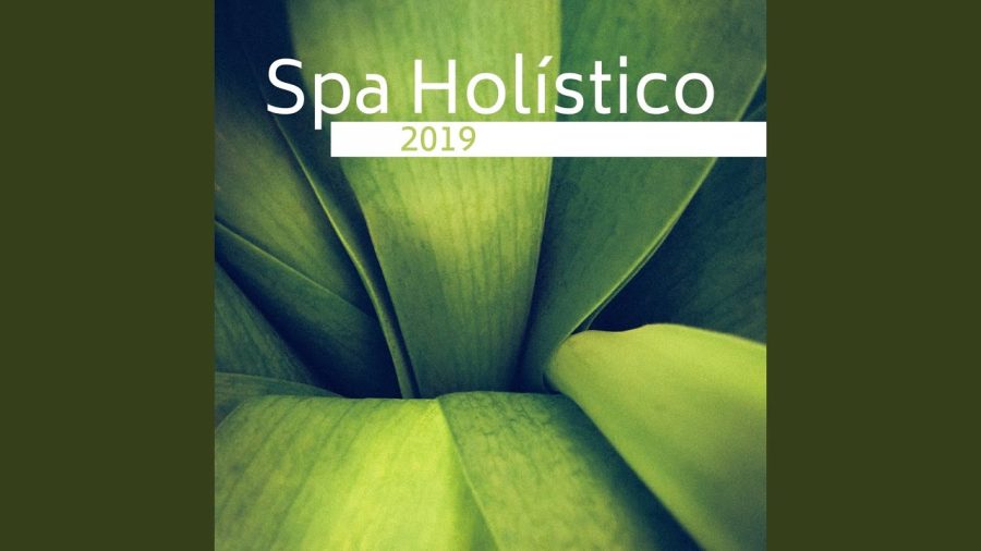 Musica-Slow-y-Terapias-Alternativas-Una-Combinacion-para-el-Bienestar-Holistico | Slow Radio