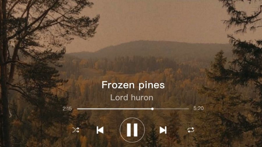 Musica-del-Mundo-para-Todos-Una-Playlist-que-Rompe-Barreras | Slow Radio