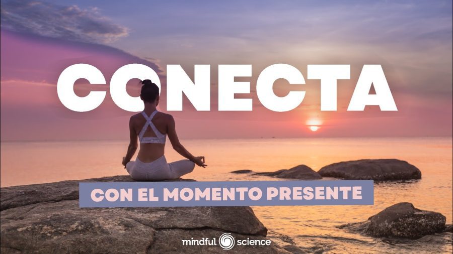 Musica-Slow-y-Mindful-Technology-Explorando-la-Relacion-Consciente-con-Dispositivos-Sonoros | Slow Radio