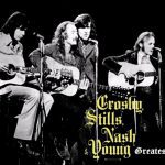 La Vanguardia del Folk Rock: Crosby Stills Nash & Young y Fleetwood Mac en los 80