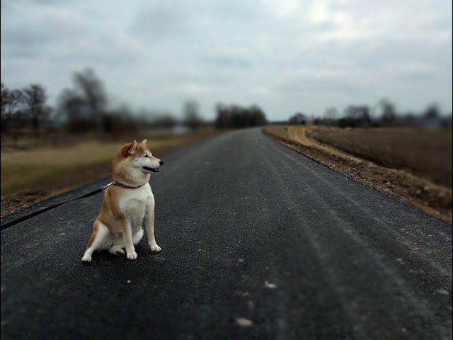 Calmante-Electronica-de-Tycho-Viaje-Espacial-Slow | Slow Radio