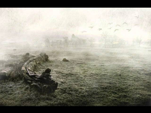 La-Magia-de-Richard-Skelton-Folk-Contemporaneo-que-Conmueve | Slow Radio