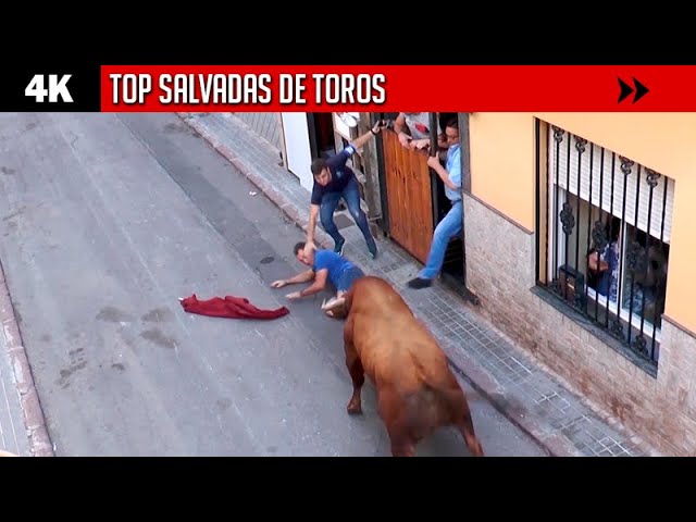 Los mejores festivales de música en plazas de toros en Europa