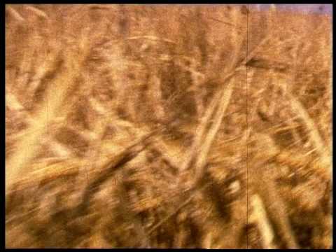 Canciones de	Nudozurdo