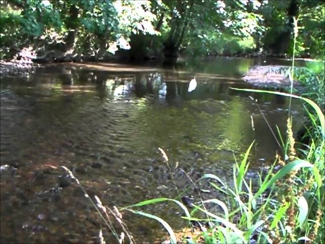 canciones-de-julio-iglesias-rio-revuelto-en-espanol | Slow Radio canciones de julio iglesias rio revuelto en español